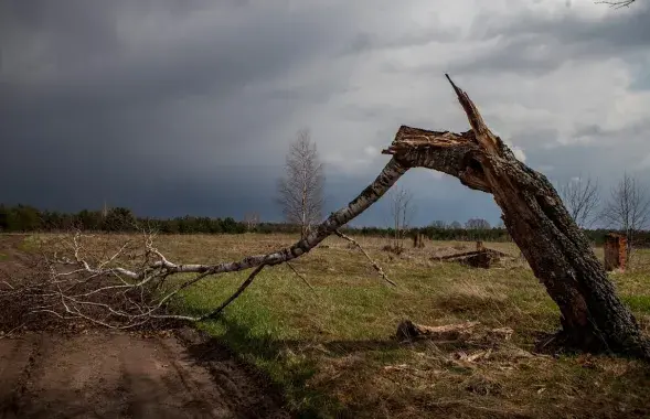 В апреле в Беларуси / Из архива Еврорадио​