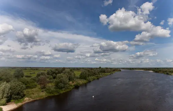 Река Припять в Житковичском районе / Андрей Ленкевич / Еврорадио