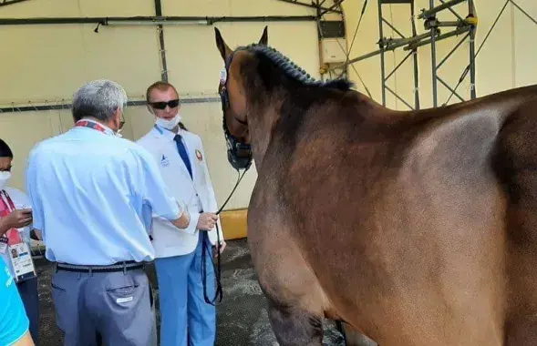 Лошадь Карло Гранде сняли с соревнований ветеринары Олимпиады / пресс-служба Минспорта