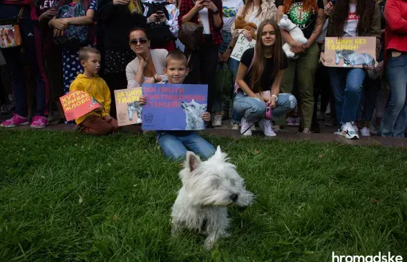 Усеўкраінскі марш за жывёл, Кіеў, 15 верасня 2019 года / hromadske