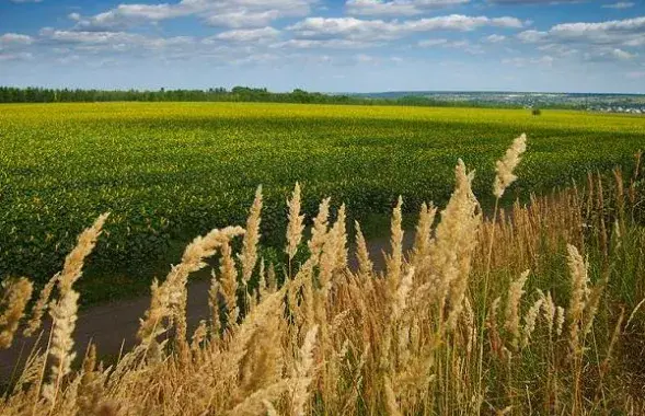 Фото из архива