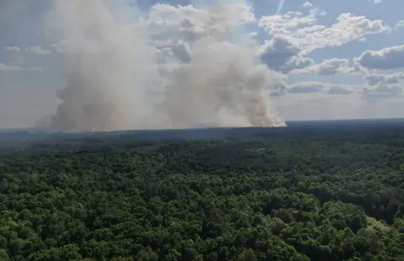 Пожары в украинских лесах / пресс-служба Минлесхоза

