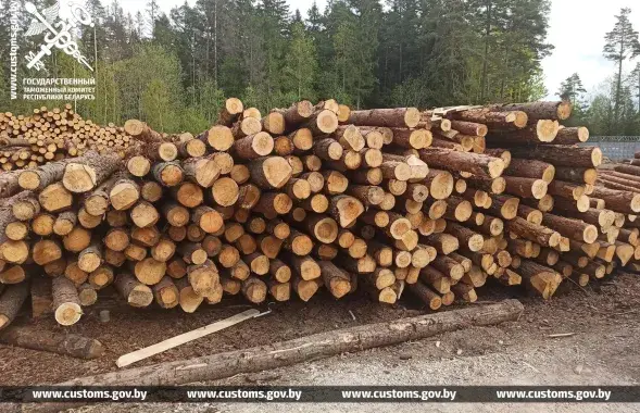 Мытня кажа пра махлярскую схему па вывазе лесу / customs.gov.by
