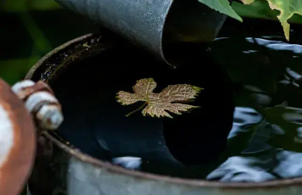 Парень случайно задел брус, который фиксировал бочку / Иллюстрационное фото pixabay.com