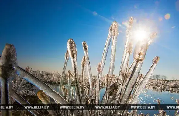 Фото: БЕЛТА