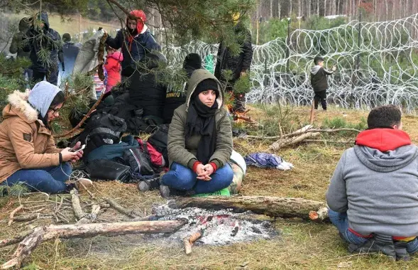 Нелегальные мигранты на границе Беларуси / Sputnik
