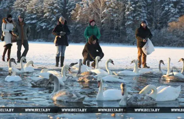 Фото: БЕЛТА