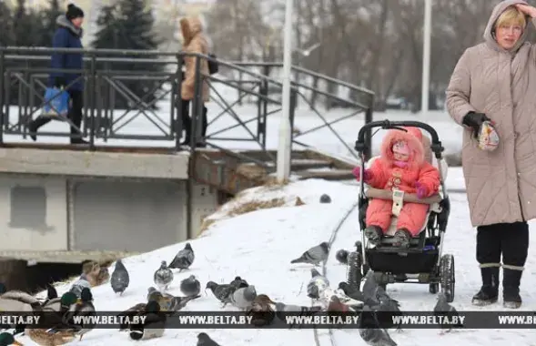 Фото: БЕЛТА