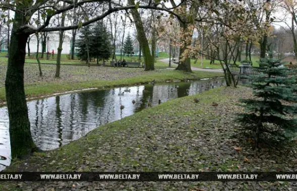 Фото: БЕЛТА