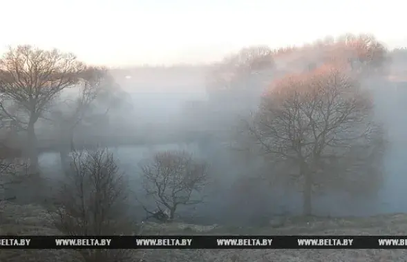 Фото: БЕЛТА