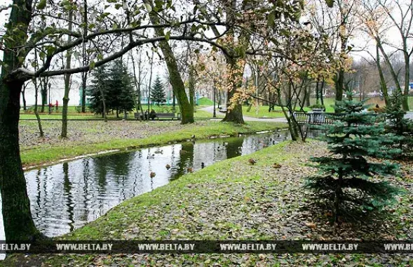 Фото: БЕЛТА