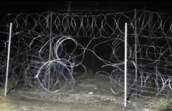 На белорусско-польской границе / кадр из видео