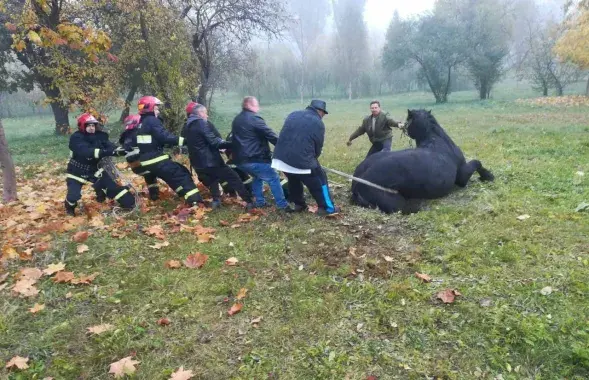 Ратавальнікі паведамляюць, што ніхто не пацярпеў / minsk.mchs.gov.by​