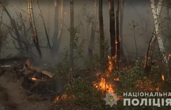 Пажар у Чарнобыльскай зоне / Паліцыя Кіеўскай вобласці