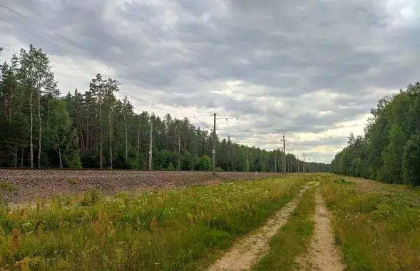 Лето в Беларуси / Еврорадио