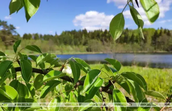 Теплая погода возвращается в Беларусь / БЕЛТА​