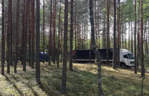 sztu.customs.ru