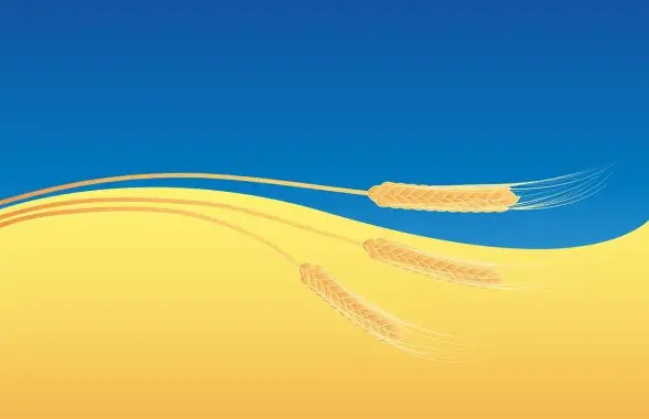 Украинское зерно и санкции / pixabay.com​