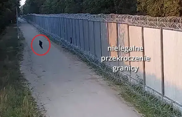Мигрант на белорусско-польской границе / Straż Graniczna