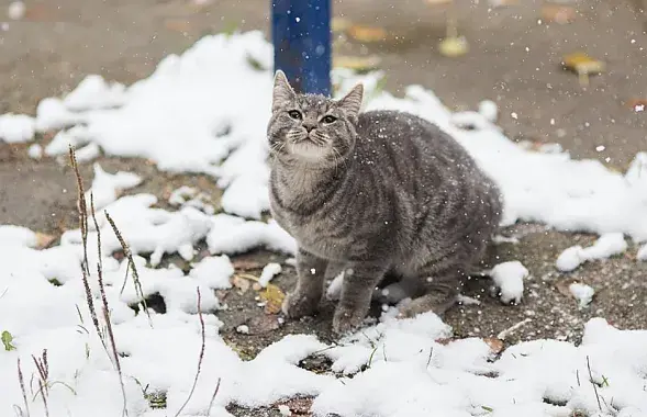 Фото из архива