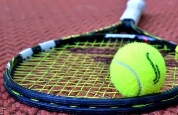 Литовский теннисный турнир обойдется без спортсменов из Беларуси и России / pixabay.com
