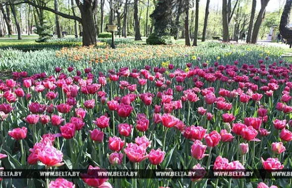 Фото: БЕЛТА