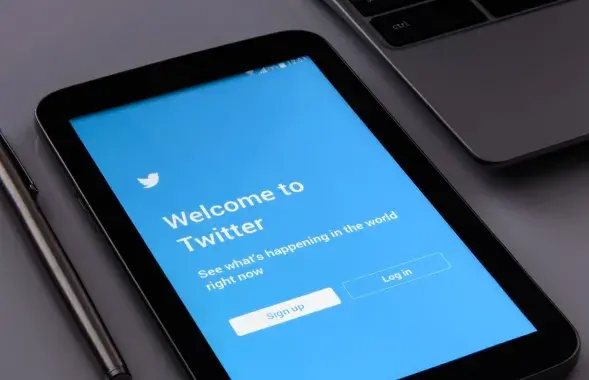 Минувшей осенью владельцем Twitter стал бизнесмен Илон Маск /&nbsp;pixabay.com
