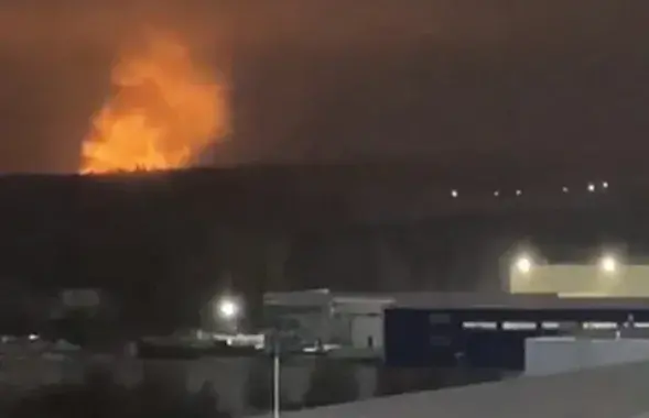 Пожар под Ижевском, скриншот видео&nbsp;

