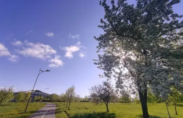 Вясна, ілюстрацыйнае фота
