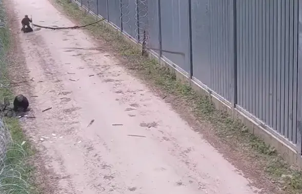 Мигранты бросают палки в офицеров Пограничной службы Польши
