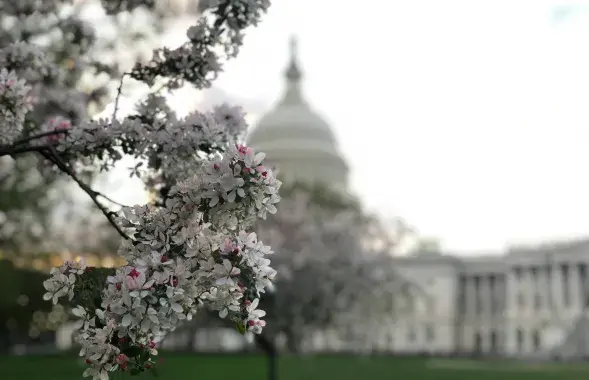 Белый дом, Вашингтон
