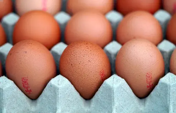 Яйца, иллюстративное фото
