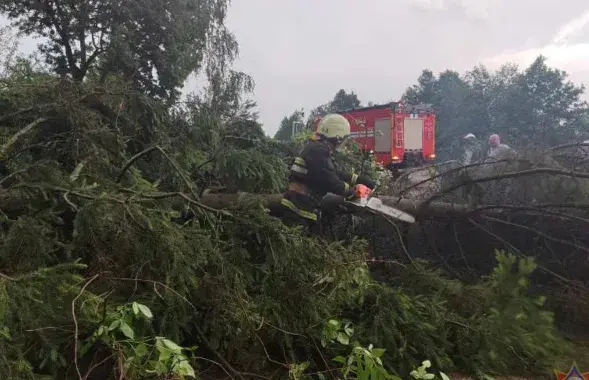 Спасатель распиливает поваленное дерево после урагана 1 июля
