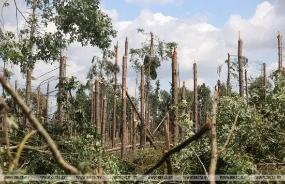 Наступствы ўрагану ў Іўеўскім раёне Гродзенскай вобласці
