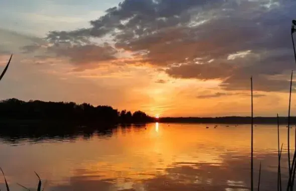 У жніўні ў Беларусі
