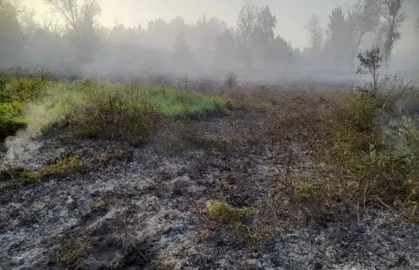 На месцы ляснога пажару пад Бабруйскам
