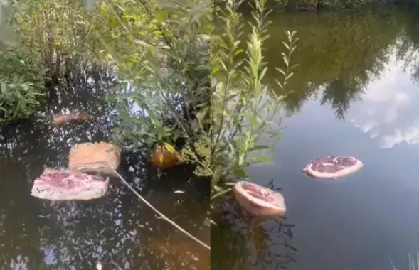 Мясо в водоеме в Сморгонском районе
