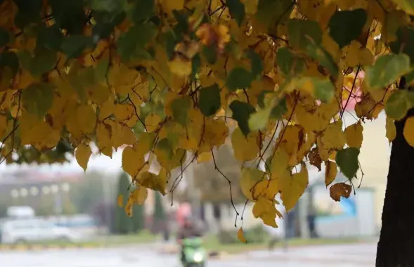 У кастрычніку ў Беларусі
