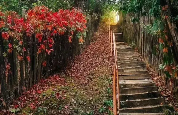 Восень у Беларусі
