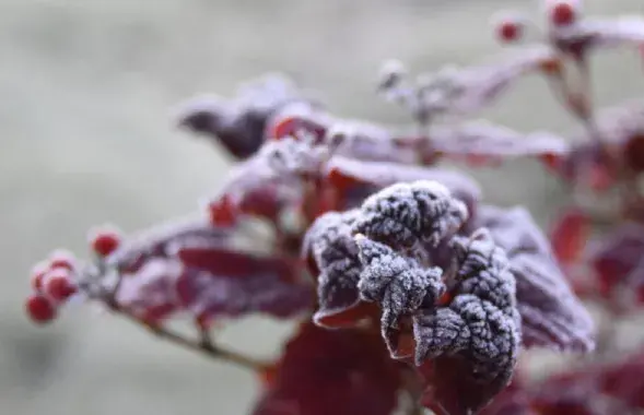 Восень, ілюстрацыйнае фота
