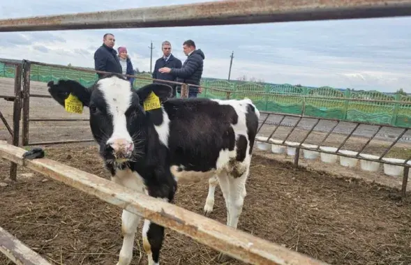 Александр Версоцкий (второй справа на заднем плане) осматривает Лидский район, 2024 год
