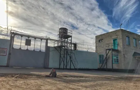 Colony No. 9 in Horki
