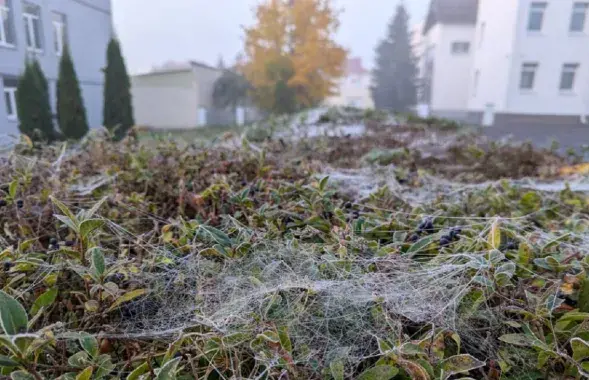 Осень, иллюстративное фото
