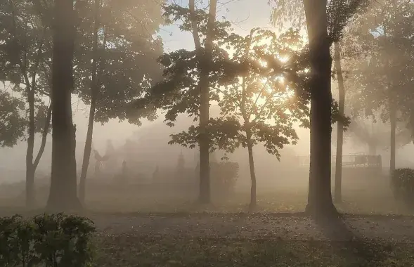 Туман у кастрычніку
