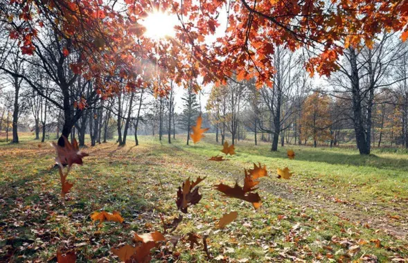 Да +30 °C і без ападкаў. Надвор'е ў Беларусі 21 верасня
