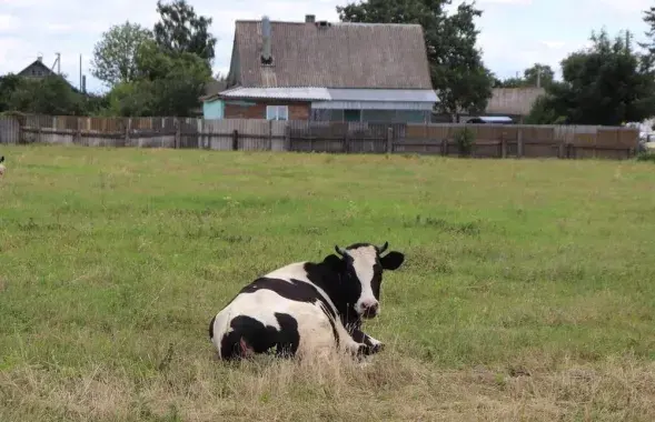 Их предлагают "ярко сфотографировать"
