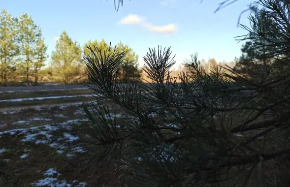 У пачатку зімы ў Беларусі
