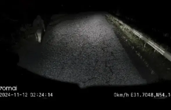 Инцидент на белорусско-российской границе
