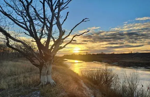 Раніца на Палессі
