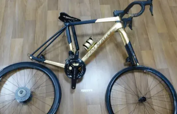 Рама покрыта сусальным золотом
